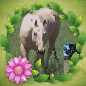 Meet your Posher, Kay